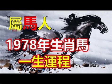 1978屬馬五行|【1978屬馬五行】1978屬馬五行：詳解你的命格與運勢